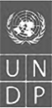 undp.png